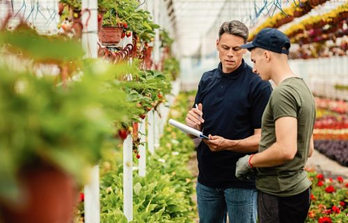 Técnicas Agrícolas com Ênfase na Agroindústria