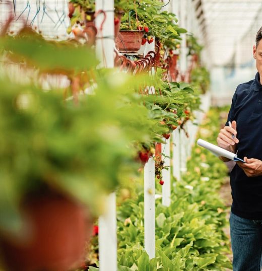 Técnicas Agrícolas com Ênfase na Agroindústria