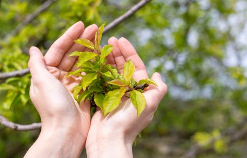 Especialização Gestão Ambiental