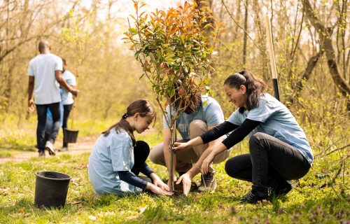 Especialização em Educação Ambiental nas Escolas