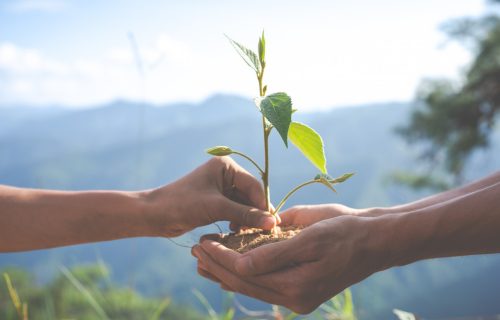 Geoprocessamento para Planejamento e Gestão Ambiental