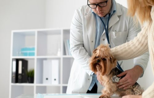 Técnicas em Veterinária