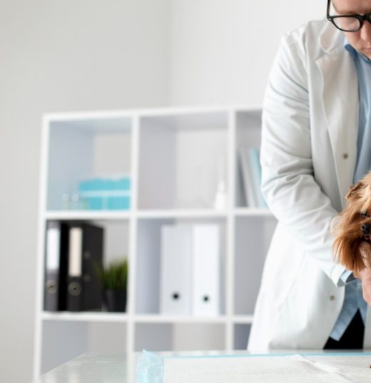 Técnicas em Veterinária